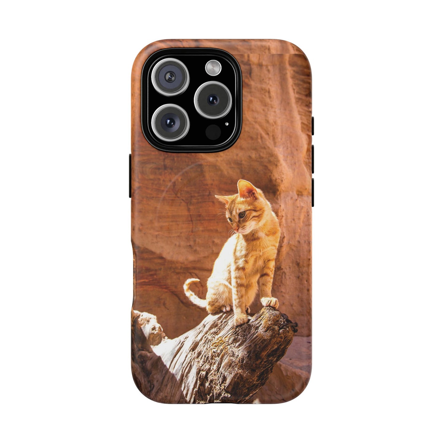 Petra Kitty | MagSafe-Compatible Tough iPhone Case