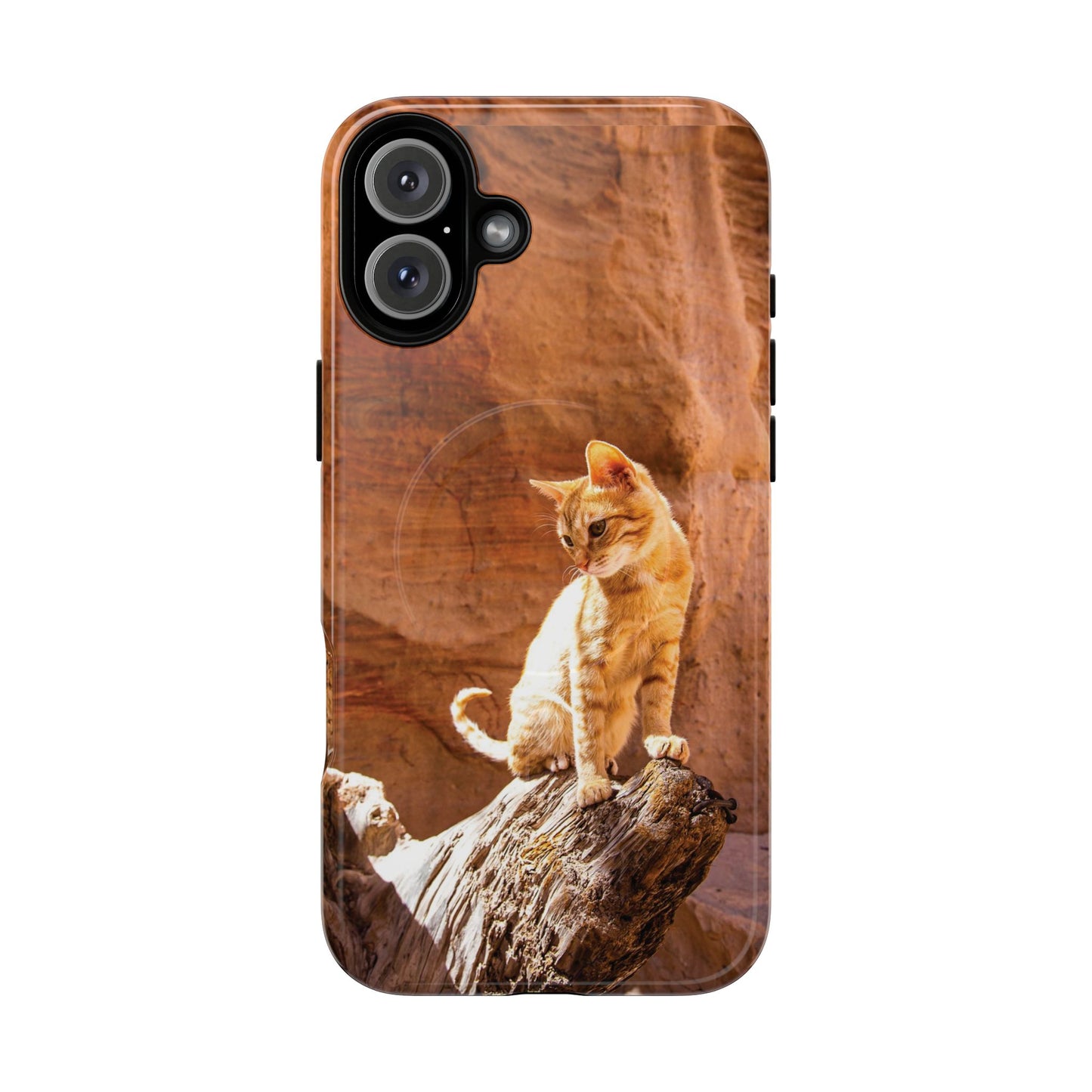 Petra Kitty | MagSafe-Compatible Tough iPhone Case