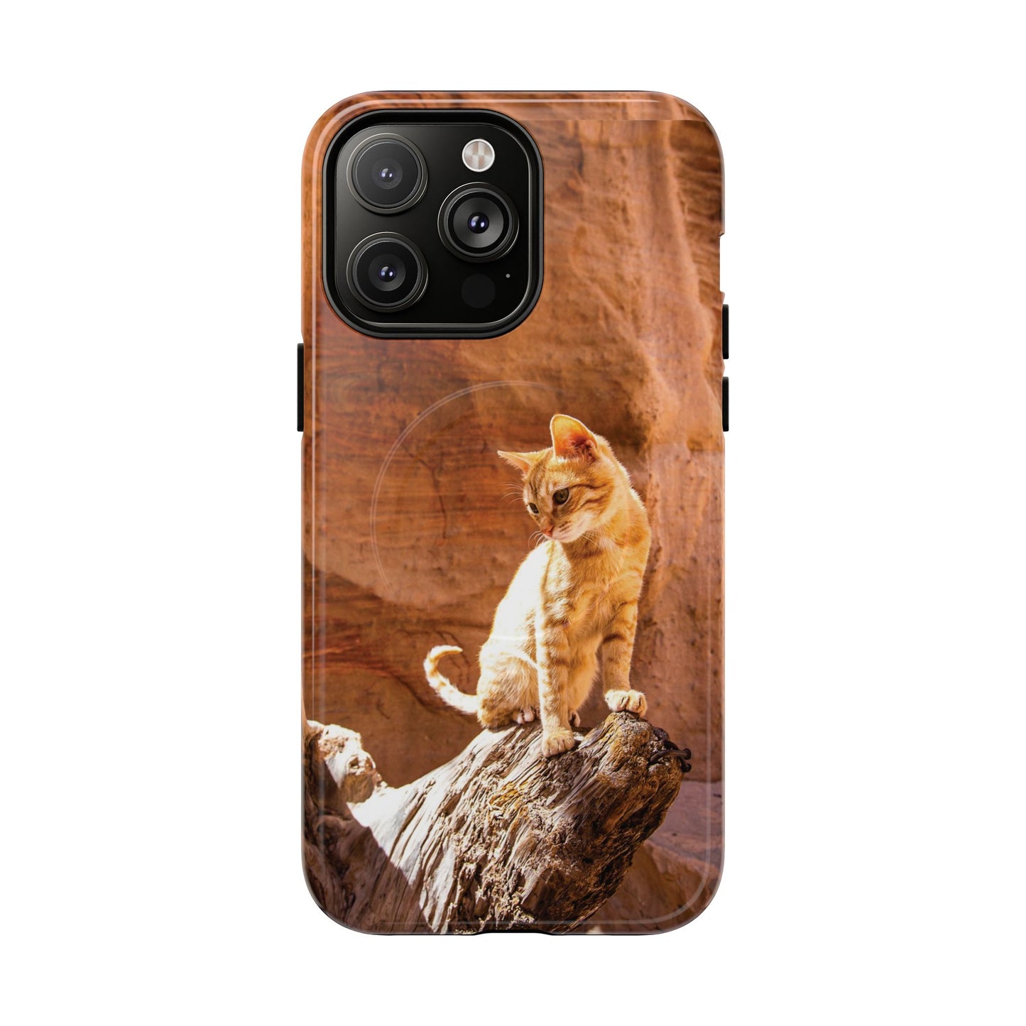 Petra Kitty | MagSafe-Compatible Tough iPhone Case