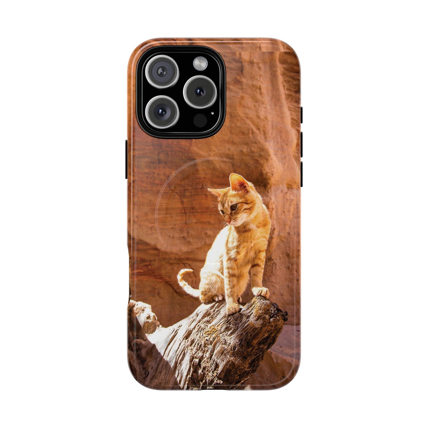 Petra Kitty | MagSafe-Compatible Tough iPhone Case