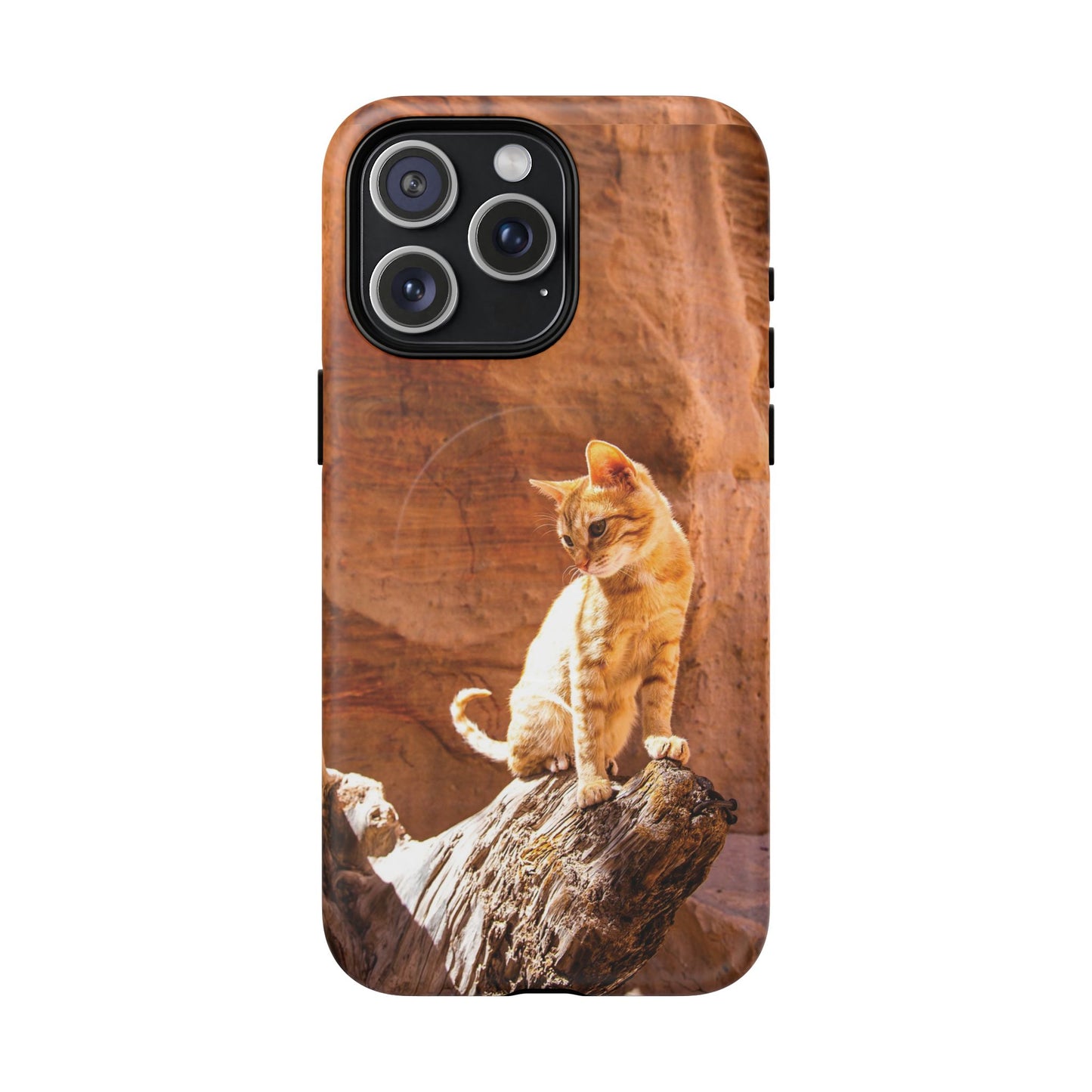 Petra Kitty | MagSafe-Compatible Tough iPhone Case