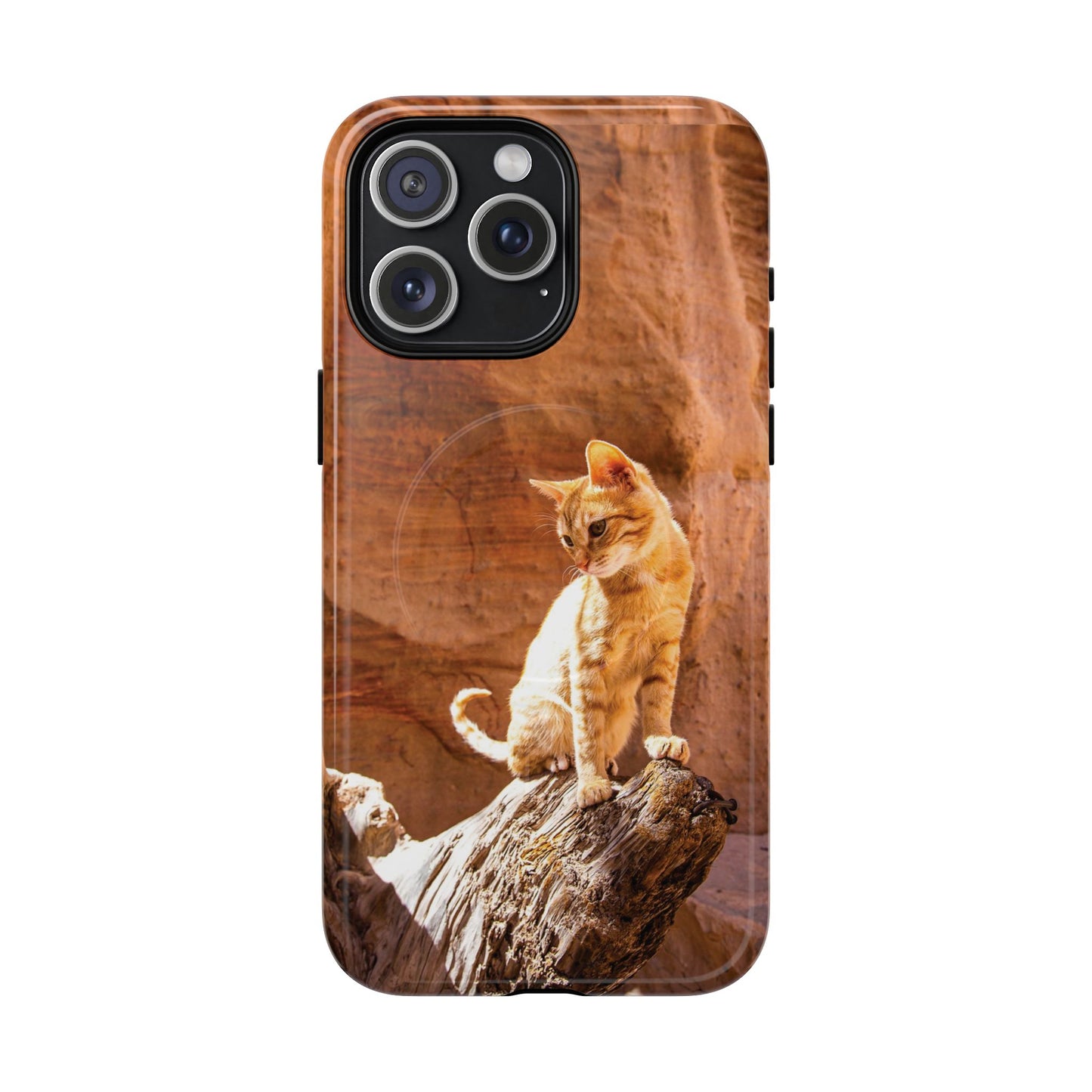 Petra Kitty | MagSafe-Compatible Tough iPhone Case