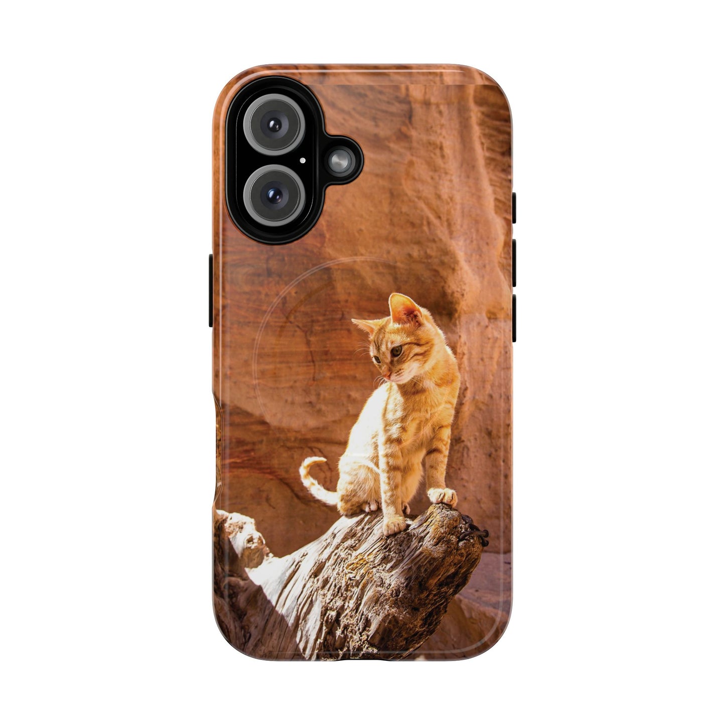 Petra Kitty | MagSafe-Compatible Tough iPhone Case