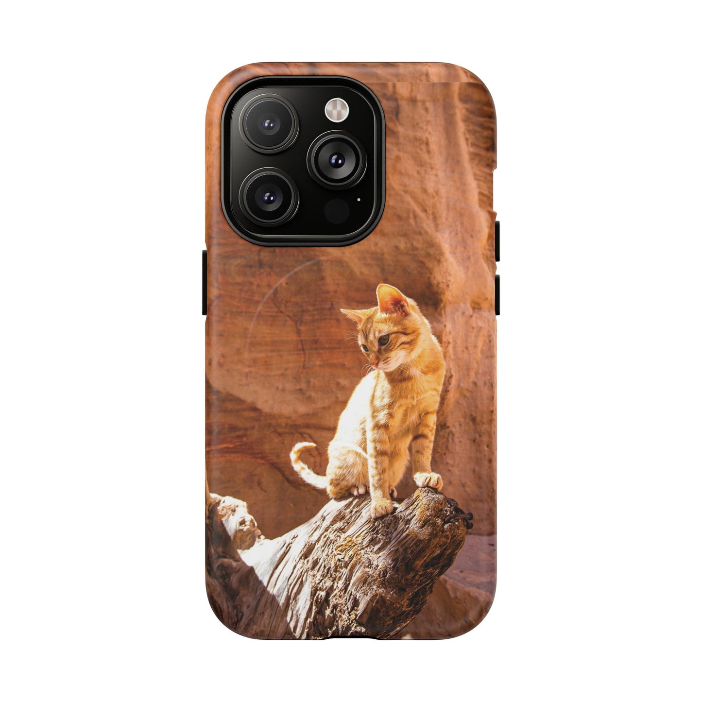 Petra Kitty | MagSafe-Compatible Tough iPhone Case