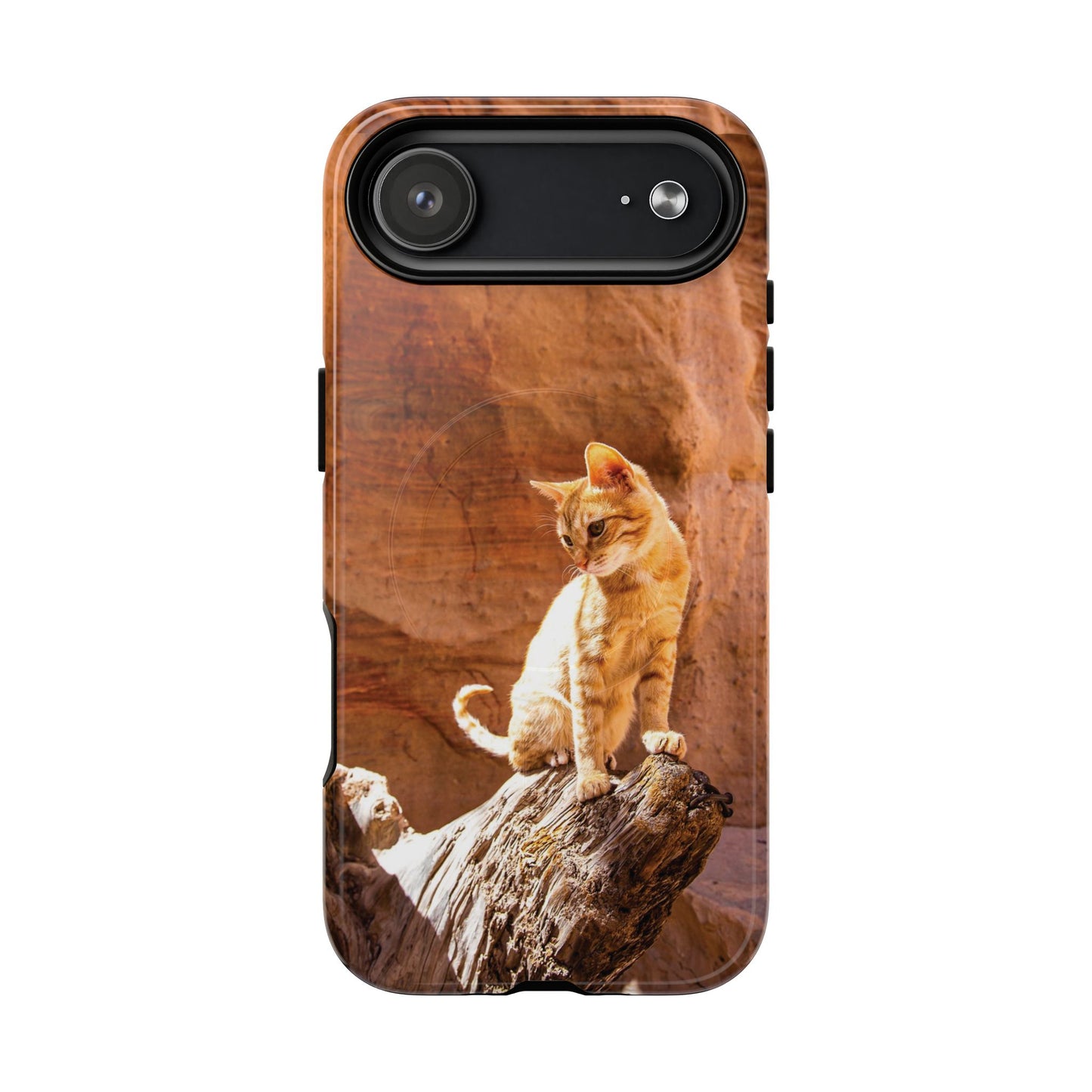 Petra Kitty | MagSafe-Compatible Tough iPhone Case