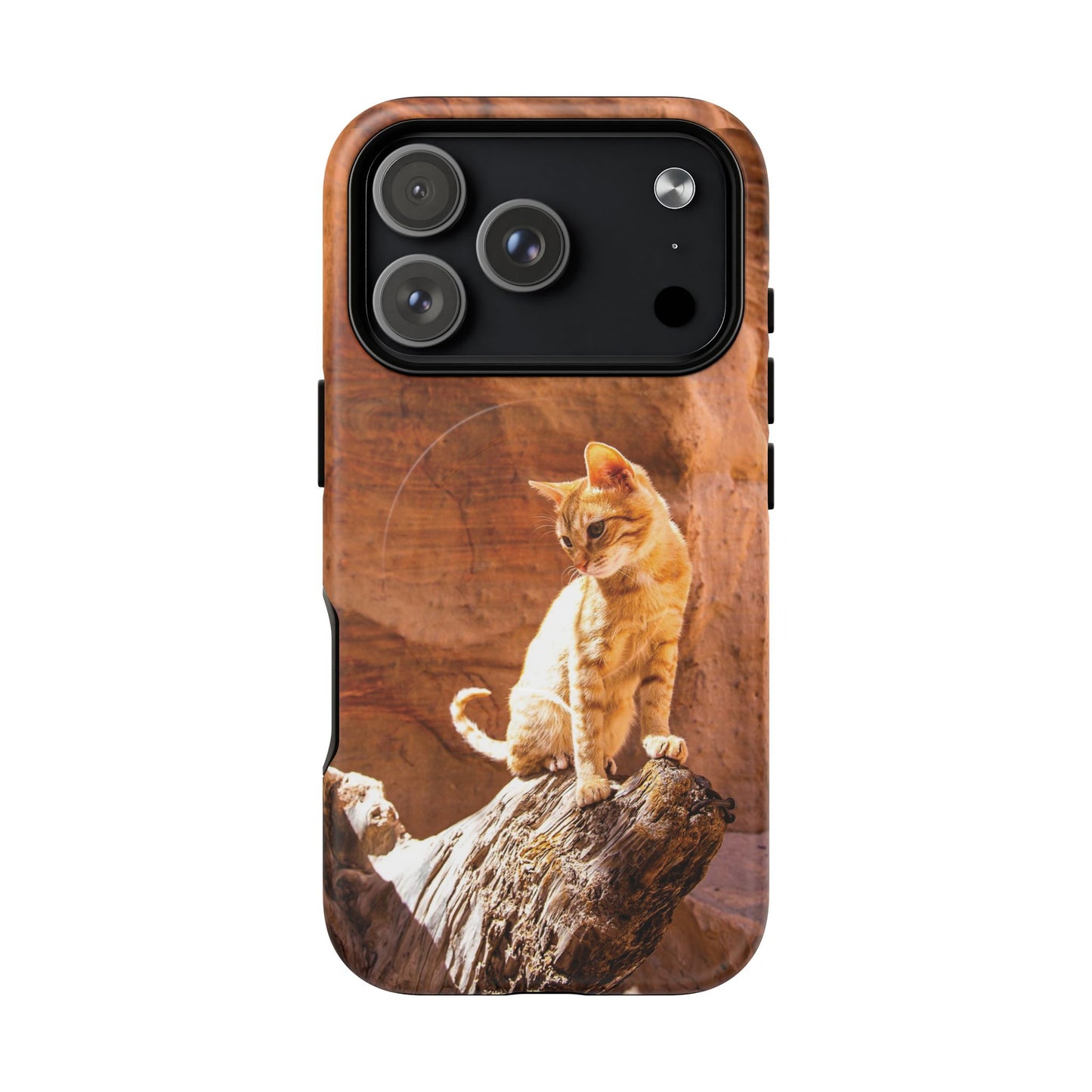 Petra Kitty | MagSafe-Compatible Tough iPhone Case