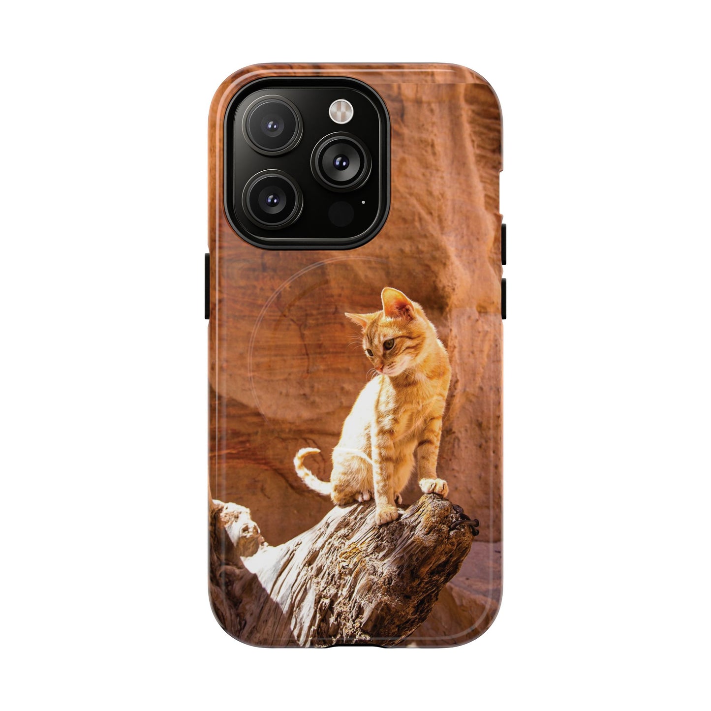 Petra Kitty | MagSafe-Compatible Tough iPhone Case