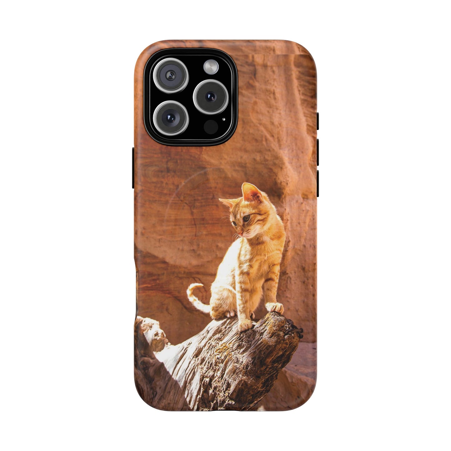 Petra Kitty | MagSafe-Compatible Tough iPhone Case